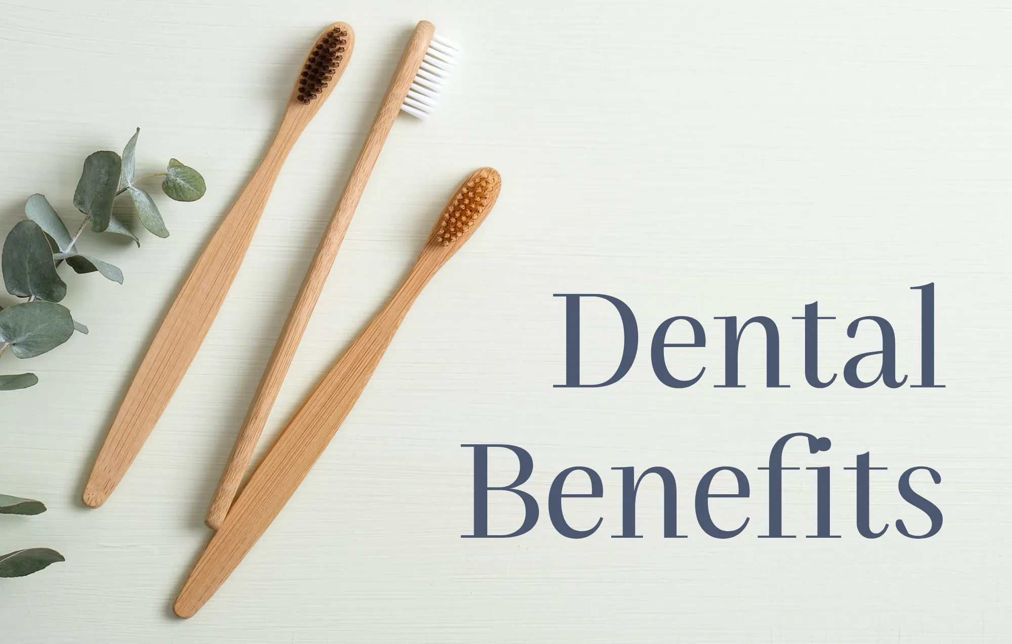 Northumberland Dental Care_dental insurance