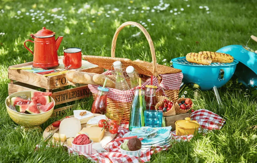 Seasonal Food Blog - Picture of a summer picnic with great food for a healthy smile